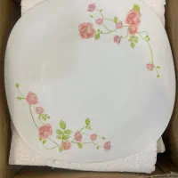 ارکپال نو
