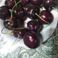 گیلاس تکدانه