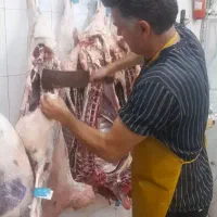 گوشت آزاد وکالابرگ