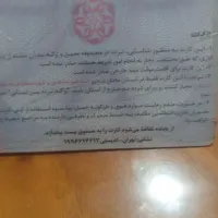 گمشده