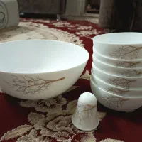 ظروف غذاخوری