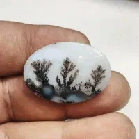 کار تک و یک انگشتر و شجر تک درخت سوزنی