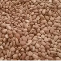 خریدار بادام و باقلا