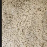 برنج چمپا