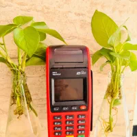 فروش ویژه کارتخوان نیولندMe31آکبند
