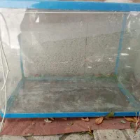 آکواریوم شیشه خم
