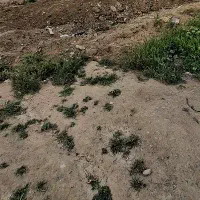 زمین-احمداباد-مسقف