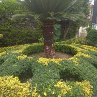 طراحی فضای سبز و سمپاشی و هرسکاری