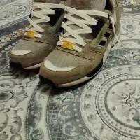 x8000اوجینال