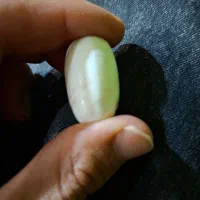 انواع مهره اصلی و زنده