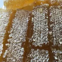 عسل فروشی