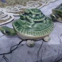 لاک پشت تزیینی آکواریوم