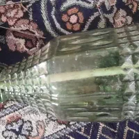 قلیون مسافرتی با یه سری اضاف