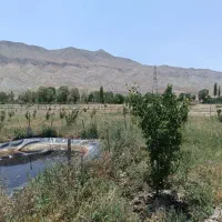 باغ در شهر خوش آب و هوای شهر فیروزکوه