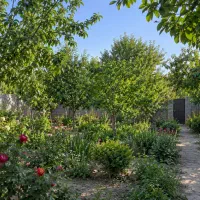 نیکانــ520-متری-باغچه-چهاردیواری-لوکیشن-عالی