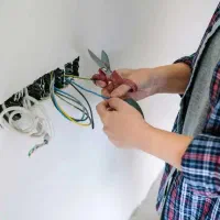 برقکار فردیس مارلیک
