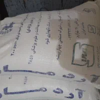 آرد مارون