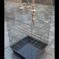 قفس عروس هلندی