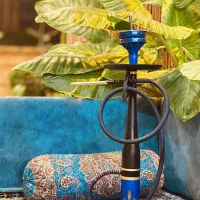 نیروی آقا سالندار