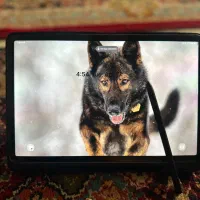 تبلت سامسونگ S8 128 سیمکارت خور با قلم