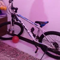 دوچرخه حرفه ای