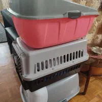 ظرف گربه