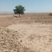 زمین-خالی-مسکونی-و-باغی