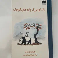 رمان پاندای بزرگ و اژدها