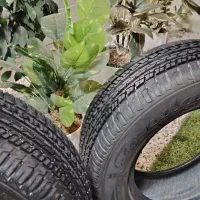 لاستیک کویر 205
