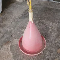 آبخوری