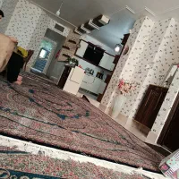 فرش نو دو جفت ۱۲ متری ۷۰۰ شانه