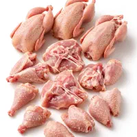 فروش گوشت بلدرچین به صورت بسته بندی