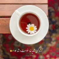 مقداری دمنوش گیاهی برند نیوشا عطاریا بخونن لطفن