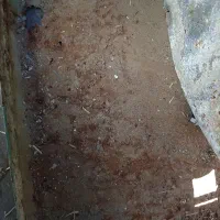 کولر آبی 3500