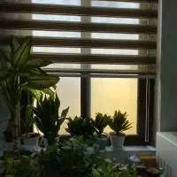 پرده زبرا پلیسه سالم