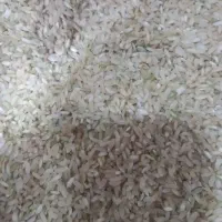 برنج چمپا کره