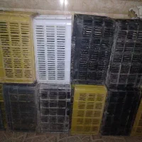 سبد گوجه فرنگی
