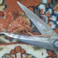 تعمیرات فرش