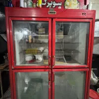 یخچال صنعتی دو درب