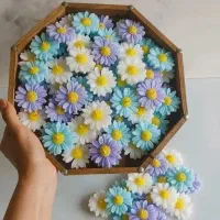 شمع گل بابونه و پیونی