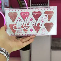 پالت رژ گونه قلبی مناسب استفاده شخصی و حرفه ای