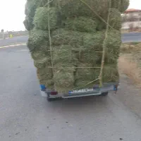 پرس یونجه