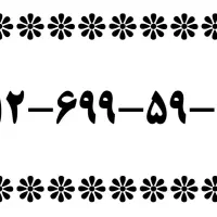 سیم کارت 49-59-699-0912