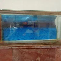 آکواریوم