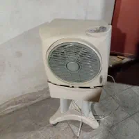 کولرابی،سلولژی،برندلایف