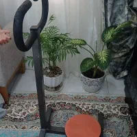 چرخونک ورزشی
