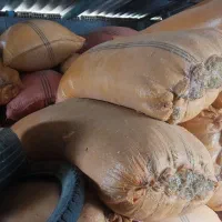 65 شلییفف کاه وچکوو جفتی هشتتصد