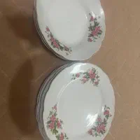 ظروف چینی