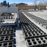 نیروی کار بلوک زن
