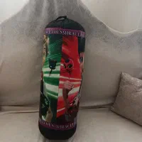 کیسه بوکس برای پچه گانه و بزرگ سالان